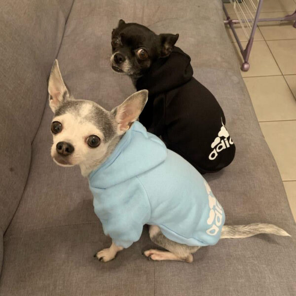 72386f31d4186b14 2021 Winter Dog Hoodies Fleece Warm Sweatshirt Small Medium Large Jacket Clothing Pet Costume Dogs Clothes