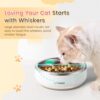 72401b1e9953ee8d Pawaii Small Dog Bowls, 12oz Food Water Bowl Designed for Puppies and Cats with Non-Slip Rubber Base, Upgraded Metal Insulated, Double Stainless Steel Bowls