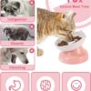 Y YHY Slow Feeder, Elevated Food Bowl Tilted Design for Dog and Cat for Dry and Wet Food