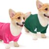 725e4f8e5ca4aad1 Koneseve Dog Shirts Soft Cotton Dog Clothes Stretchy T-Shirt for Small Medium Large Dogs Cat Shirt Breathable Puppy Outfit Kitten Apparel Pet Pullover Tee Blank Basic Sweatshirt 2-Pack Blue & Red 5XL