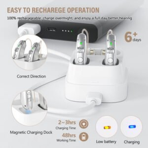 750d6de9aea2d6ad Rechargeable USB Hearing Aid Behind the Ear Sound Amplifier Elderly Noise Cancelg Deaf Care Charging case