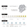 753e262016a8c9dd Attagems 1.5CT Moissanite for Women D VVS Round Diamond Double Halo Ring Engagement Christmas Sterling Sier Wedding