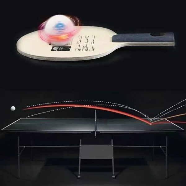 75507f8d5e2fe4db SANWEI T5000 Table Tennis Blade 5 Wood 2 Carbon Entry Intermediate Ping Pong Blade for Loop Drive with Fast Attack