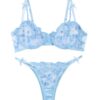 Lilosy Sexy Underwire Cute Push Up Strappy Embroidered Mesh Sheer Lingerie Set See Through Panty Bra