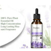 77d3162b9cbe5226 Pure Natural Therapeutic Grade Essential Oils Tea Tree Rose Jasmine Mint Vanilla Eucalyptus for Skin Care Massage Diffuser Oil