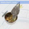 HERCOCCI Bird Feeder Dish Cup, Stainless Steel Parrot Food Bowl Feeding Coop Cups Clamp Holder, Bird Water Cage Bowl for Parakeet Lovebird Conure Cockatiel Budgie Chinchilla (5 Pieces)