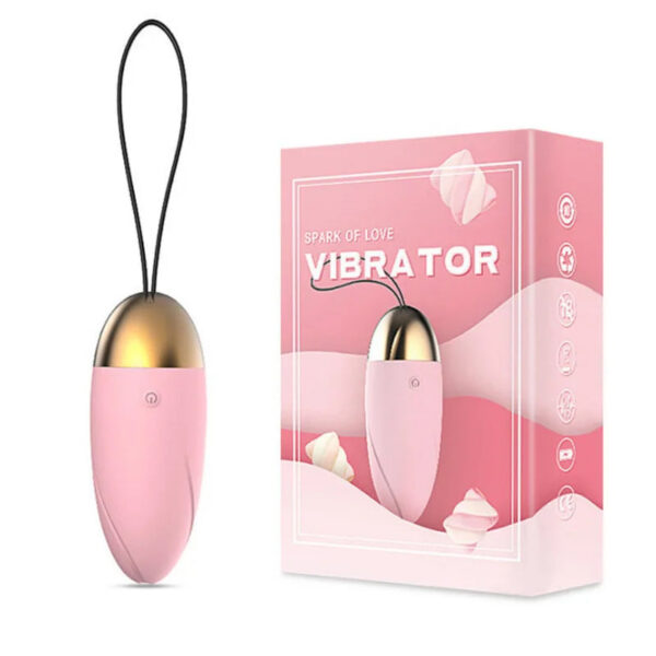 79cc079d88e7b924 Frequency Conversion Wireless Jump Egg Vibrator Egg Remote Control Body Massager for Women Adult Sex Toy Sex Product Masturbator