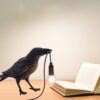 The Gothic Lamp,Cute Black Raven Desk Light with USB Line,Unique Resin Halloween Crow for Table Decor,Goth Decor,Black Bird Decor, Art Decor,Home Decor,Living Room,Bedroom (2 Bulbs)