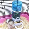 7bb03a615beb644e Pet Feeder Automatic,Bird Hamster Small Animal Feeder, Automatic Feeding Device Dispenser for Hamster Bird Pigeon Parrots Mini Hedgehog with Holder (5.90x2.83x6.10in)