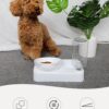 Marchul 3 in 1 Cat Bowl, Cat Food and Water Bowl Set, 10°Tilted Cat Food Bowl, Raised Cat Bowl with Automatic Water Dispenser Bottle, Detachable Wet and Dry Cat Dishs for Cat and Puppy