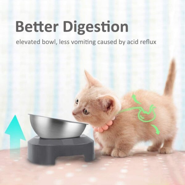 7ec89c52d9f9a6cb Stainless Steel Cat Food Bowl, 15-Angle, Ergonomic Design Reduces Vomiting