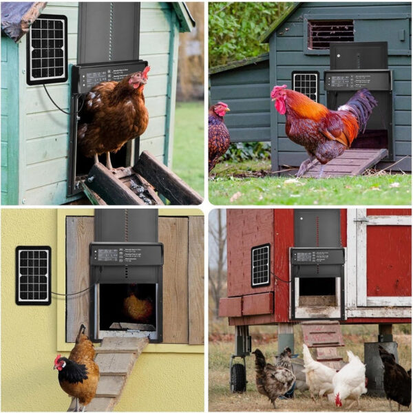 Auto Coop Automatic Solar Powered USB Charging Chicken Door 4 Modes with Timer & Light Senso