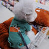 7f5b4d4d5fb74b6c Pet Coat with D-Ring Spring Summer Dog Clothes for Small Medium Dogs Puppy Outfits Jacket Chihuahua Yorks Clothing