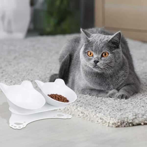 7f761c7cf4e6e21e Anti Vomiting Cat Bowls - Elevated Tilted 15° Cat Food Bowl, Raised Plastic Cat Dishes with Non-Slip Rubber Base Stand Kitty Bowl for Cats (White)