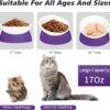 7fa4508b65c3d673 2Pcs Cat Bowls Elevated Cat Food Bowl Adjustable Cat Dish Anti-Slip and Anti-Noise Raised Cat Bowl Protecting Pet’s Spine Thickened Plastic Bowl Suitable for Indoor Cats, 17 Oz