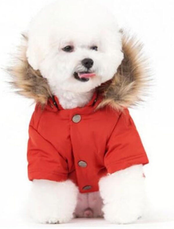 7fb04690037a0245 Cat Dog Doggie Down Jacket Hoodie Coat Pet Clothes Warm Clothing for Small Dogs Winter Black L