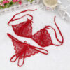 805213c97044c1f7 Women's Underwear Sets Ladies Sexy Lingerie Lace Hollow Out Underwear Sleepwear G-string Lingerie белье sous clothing femme