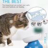 Y YHY Slow Feeder, Elevated Food Bowl Tilted Design for Dog and Cat for Dry and Wet Food