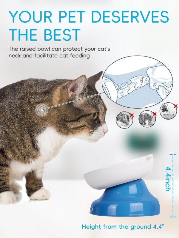 Y YHY Slow Feeder, Elevated Food Bowl Tilted Design for Dog and Cat for Dry and Wet Food