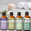 81accae32e6dced5 PHATOIL 30ml Lavender Peppermint Vanilla Tea tree Essential Oils for Aromatherapy Candle Making Natural Eucalyptus Aroma Oils