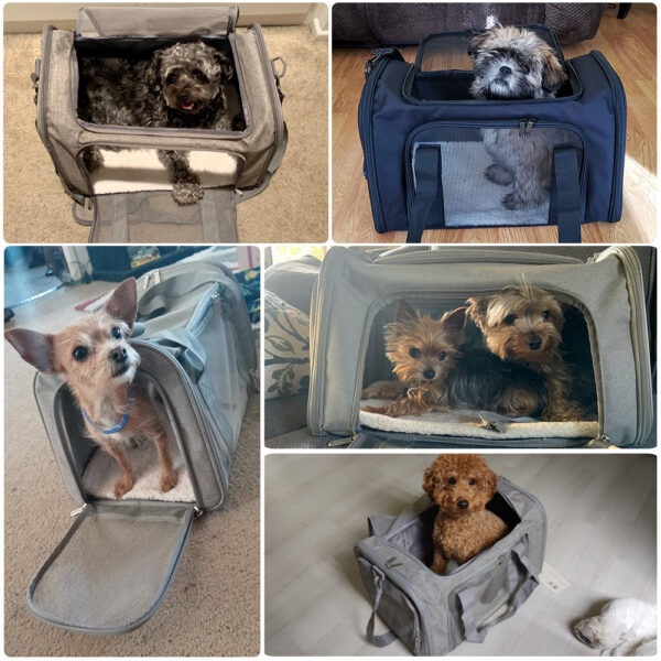 82d51f25a20925aa Carrier Bag Soft Side Backpack Cat Pet Carriers Dog Travel Bags Airline Approved Transport For Small Dogs Cats Outgoing
