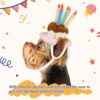 Namsan Holiday Pet Costume Cat Birthday Hat Small Dog Birthday Cake Hat Dog Birthday Party Supplies, Small