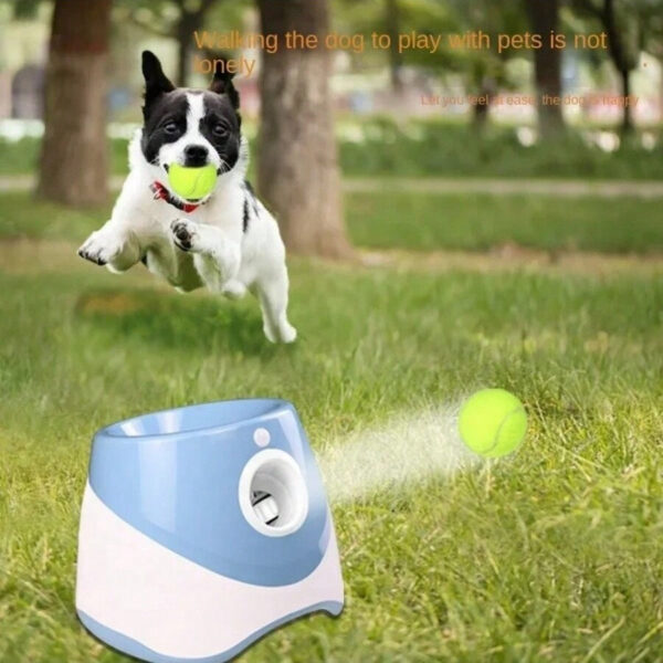 Dog Launcher Automatic Dogs Chase Toy Tennis Throwing Pill hine Fun Interactive Throw Rechargable Catapult USB Charging