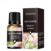 17 Flavors 10ml Essential Oils For Aroma Diffuser AirHumidifier Home Water-soluble Lavender Rose Eucalyptus  White Peach Oolong