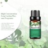84e82a138ca532ae PHATOIL 10ml Vanilla Eessential Oil for Aroma Candles Making Spa Massage Humidifier Sandalwood Black Pepper Ginger Tea Tree