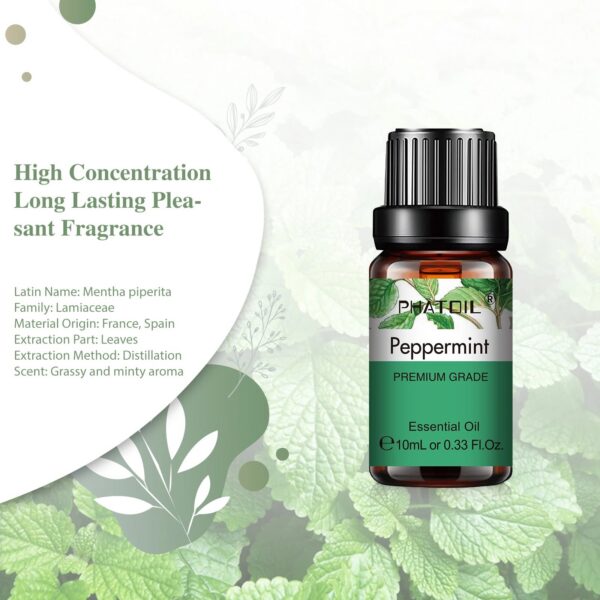 84e82a138ca532ae PHATOIL 10ml Vanilla Eessential Oil for Aroma Candles Making Spa Massage Humidifier Sandalwood Black Pepper Ginger Tea Tree