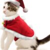Namsan Holiday Pet Costume Cat Birthday Hat Small Dog Birthday Cake Hat Dog Birthday Party Supplies, Small