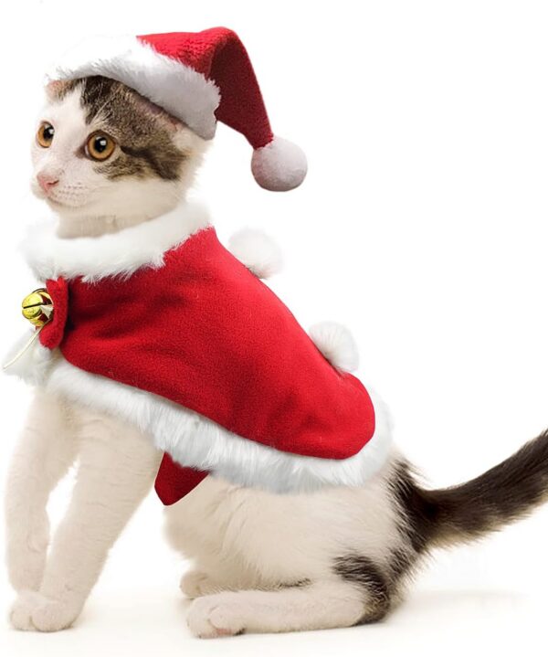 Namsan Holiday Pet Costume Cat Birthday Hat Small Dog Birthday Cake Hat Dog Birthday Party Supplies, Small