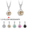 1 Carat Round Brilliant Cut D Color Pendant Sier Moissanite Diamond Test Past White Gemstone Necklace