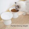 8674fee609e4f157 2 Extra Wide Raised Cat Food Bowl, Elevated Anti-Vomiting Cat Feeder Whisker Stress-Free Dog Two Bowls Ceramic Cat Feeding Bowls White