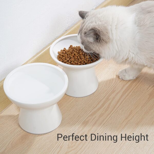 8674fee609e4f157 2 Extra Wide Raised Cat Food Bowl, Elevated Anti-Vomiting Cat Feeder Whisker Stress-Free Dog Two Bowls Ceramic Cat Feeding Bowls White
