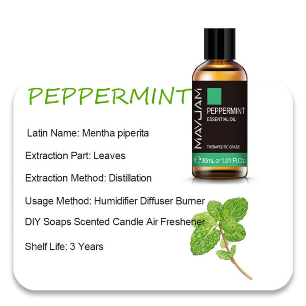 883329467a341aeb MAYJAM 10ml 30ml 100ml Essential Oils For Humidifier Diffuser Lavender Jasmine Eucalyptus Ylang Ylang Vanilla Tea Tree Aroma Oil