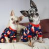 Gnome Dog Christmas Pajamas, Dog Winter Clothes for Small Dogs Girl, Lightweight Velvet Pet Jumpsuit, Cat Outfit, Black, Red, Small