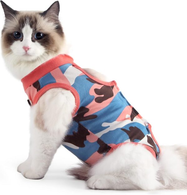 8b59eb33a0033725 Cat Recovery Suit for Male and Female Surgical Post Surgery Soft Cone Onesie Shirt Clothes Neuter Licking Protective Diapers Outfit Cover Kitten Spay Collar(M, Grey)
