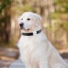 Mini Locator GPS Car Air Tags Smart Key Finder Children Positioning Pet Tracker