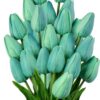 8d30b772c733aeec 24 Pcs White Tulips Artificial Flowers Real Touch Fake Tulips Fake Flowers for Decoration 13.5" Faux Tulips Faux Flowers Bulk Artificial Tulips Flowers for Vase Centerpieces Home Wedding Bouquet