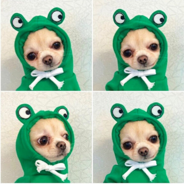 Cute Fruit Dog Clothes Hoodies Warm Fleece Pet Clothing Cat Costume Coat for Puppy Small Medium Dogs Cats
