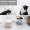 8d641afd02d684e4 TAMAYKIM Tilted Ceramic Raised Cat Bowls, 8 OZ Food and Water Bowls Set for Kitty, Porcelain Elevated Stress Free Feeding Pet Dish, Dishwasher and Microwave Safe, 2 Pack (White & Grey)