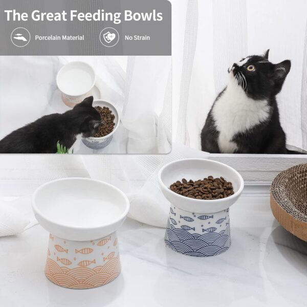 8d641afd02d684e4 TAMAYKIM Tilted Ceramic Raised Cat Bowls, 8 OZ Food and Water Bowls Set for Kitty, Porcelain Elevated Stress Free Feeding Pet Dish, Dishwasher and Microwave Safe, 2 Pack (White & Grey)