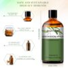 8dfcffa7ceef5328 PHATOIL 100ml Essential Oils Lemon Eucalyptus Sweet Orange Cinnamon Vanilla Aroma Oils for Humidifier Diffuser Aromatherapy