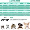 8e7b35c789e9b7c8 Cat Harness and Leash Set for Walking Escape Proof, Kitten Adjustable Small Large Lightweight Soft Vest Harness and Leash(Medium, Green)