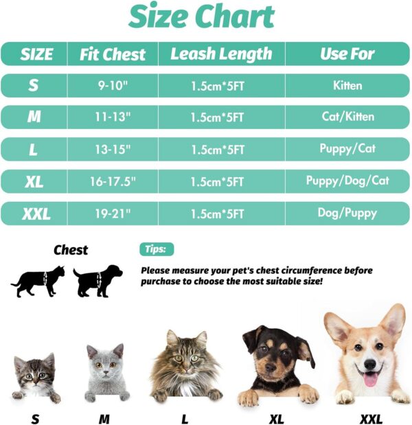 8e7b35c789e9b7c8 Cat Harness and Leash Set for Walking Escape Proof, Kitten Adjustable Small Large Lightweight Soft Vest Harness and Leash(Medium, Green)