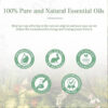 8e8ad9e97b32d0a1 Pure Natural Therapeutic Grade Essential Oils Tea Tree Rose Jasmine Mint Vanilla Eucalyptus for Skin Care Massage Diffuser Oil
