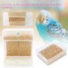 8eb76ae4c1b419d6 Rypet No-Mess Bird Feeder - Parrot Integrated Automatic Feeder for Small to Medium Birds