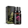 MAYJAM 10ML Fruit Fragrance Oil Strawberry Watermelon Mango Coconut Cherry For Humidifier Candle Soap Making Air Freshener