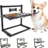 SHAINFUN Elevated Dog Bowls for Medium Dogs and Cats - Raised Cat or Dog Bowl Stand with Adjustable Height and Two Stainless Steel Food Bowls - Ideal for Medium and Small Dogs and Cats.